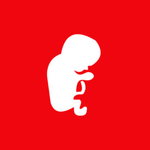 cropped-fav-icon.jpg